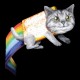 Shirt Nyan chat de l'espace Space cat Galaxy cat noir pour homme et femme