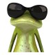 Shirt grenouille cool blanc pour homme et femme