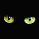 Shirt yeux de Chats noir pour homme et femme