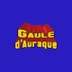 Shirt Goldorak parodie Gaule d'Auraque bleu pour homme et femme